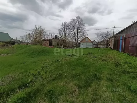 Участок в Белгородская область, Чернянский район, Русскохаланское ...