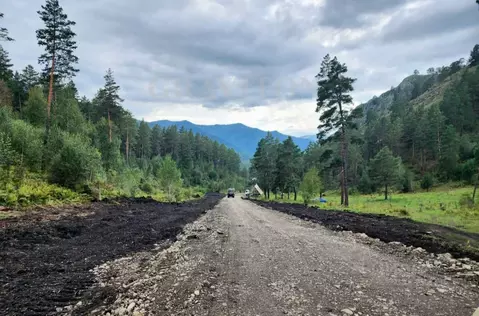 Участок в Алтай, Чемальский район, Узнезинское с/пос, с. Узнезя ул. ...