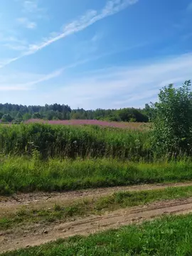 Участок в Новгородская область, Валдайский район, Короцкое с/пос, д. ...
