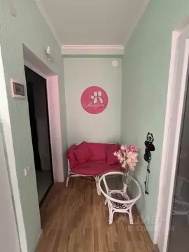 Студия Севастополь ул. Челюскинцев, 57/1 (23.1 м)