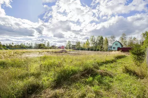 Участок в Калужская область, Боровский муниципальный округ, д. Ильино  ...