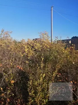 Участок в Челябинская область, Магнитогорск Металлург-2 садовое ...