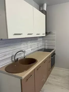 2-к кв. Санкт-Петербург Черниговская ул., 17 (60.0 м)