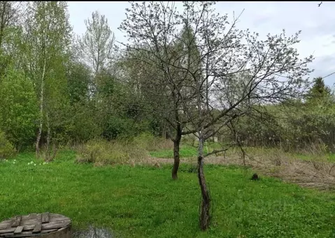 Дом в Ярославская область, Гаврилов-Ямский муниципальный округ, ...