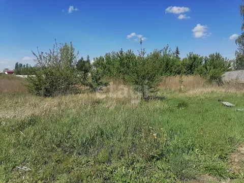 Участок в Воронежская область, с. Новая Усмань пер. Первомайский, 2 ...