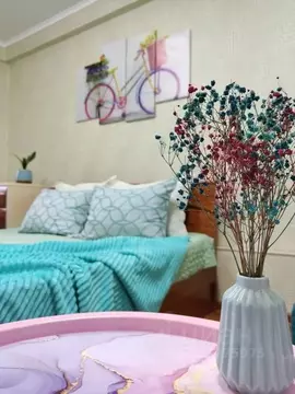 1-к кв. Ставропольский край, Пятигорск ул. Орджоникидзе, 11К2 (23.0 м)