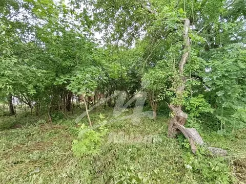 Участок в Калининградская область, Калининград ул. 1-я Большая ...