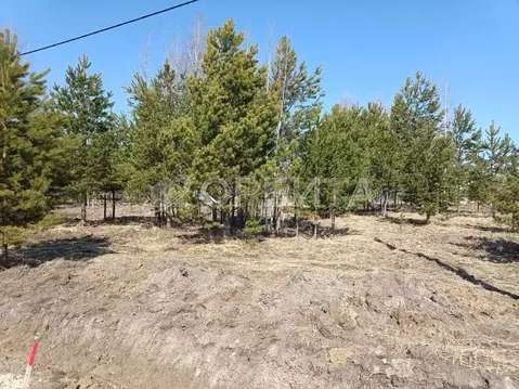 Участок в Тюменская область, Тюменский район, д. Пышминка Береговая ...