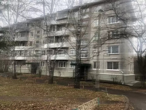 1-комнатная квартира: Красноярск, улица Академгородок, 10 (31 м)