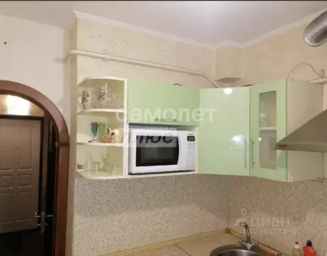 1-к кв. Липецкая область, Липецк ул. Циолковского, 35/2 (31.0 м)