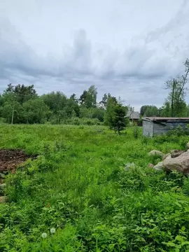Участок в Ленинградская область, Приозерский район, Ларионовское ...