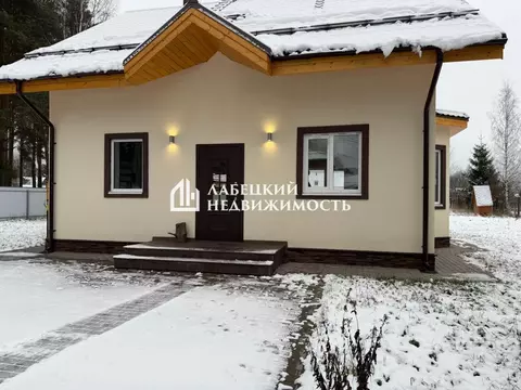 Дом в Ленинградская область, Гатчинский муниципальный округ, д. Мины ...