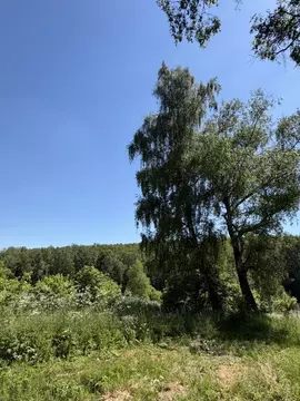 Участок в Тульская область, Заокский район, Малаховское с/пос, д. ...