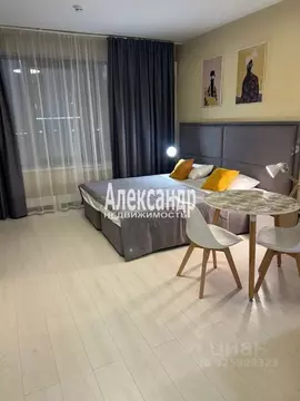 Студия Санкт-Петербург просп. Средний Васильевского острова, 87к3 ...