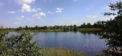 Дом в Нижегородская область, Бор муниципальный округ, д. Шубино ул. ...