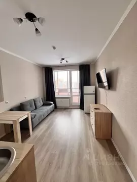 Студия Ленинградская область, Сертолово Всеволожский район, ...