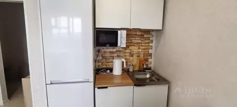 Студия Амурская область, Благовещенский район, с. Чигири ул. ...