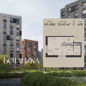 Студия Липецкая область, Липецк Авторский жилрайон, Ботаника жилой ...