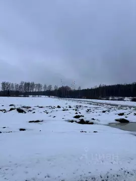 Участок в Москва № 177А кв-л, 238 (9.13 сот.)