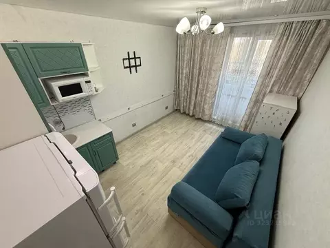 Студия Новосибирская область, Новосибирск ул. Виктора Уса, 7 (20.0 м)