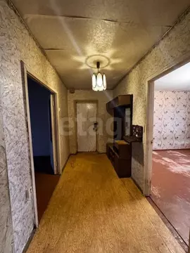 3-к кв. Брянская область, Брянск ул. Димитрова, 33 (59.4 м)