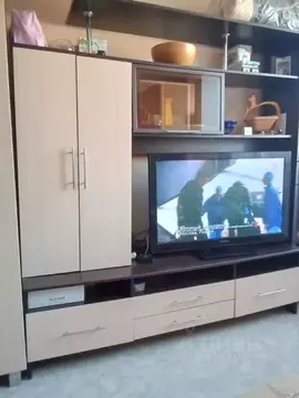 1-к кв. Омская область, Омск ул. 1-ой Красной Звезды, 63 (26.8 м)