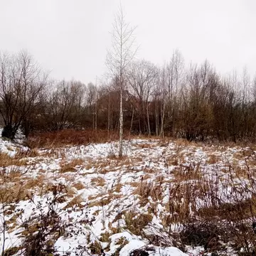 Участок в Московская область, Егорьевск Старополевая ул. (5.0 сот.)