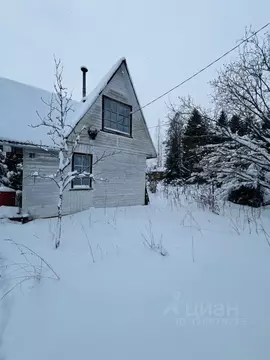 Дом в Ленинградская область, Лужский район, Мшинское с/пос, Мшинская ...