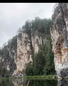 Участок в Свердловская область, Нижний Тагил муниципальный округ, д. ...