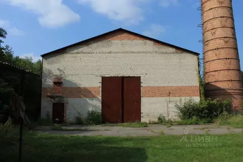 Помещение свободного назначения в Северная Осетия, Владикавказ просп. ...