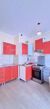 Студия Краснодарский край, Сочи Яна Фабрициуса мкр, ул. Метелева, 6/5 ...