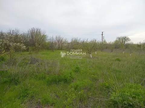 Участок в Ростовская область, Новочеркасск Кадамовская ул. (4.5 сот.)