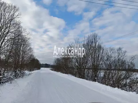 Участок в Ленинградская область, Гатчинский муниципальный округ, ...
