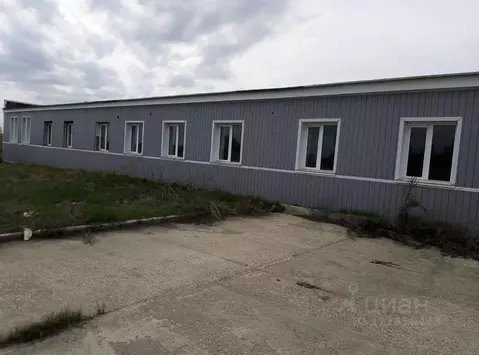 Производственное помещение в Ульяновская область, Новомалыклинский ...