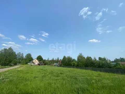 Участок в Московская область, Можайский муниципальный округ, д. Язево  ...