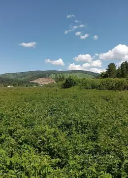 Участок в Алтай, Майминский район, с. Кызыл-Озек Советская ул. (10.0 ...