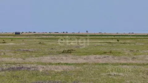 Участок в Крым, Ленинский район, с. Калиновка ул. Абденановой (6.0 ...