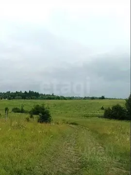 Участок в Вологодская область, д. Киндеево  (25.0 сот.)