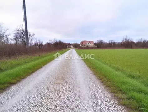 Участок в Калининградская область, Зеленоградский муниципальный округ, ...