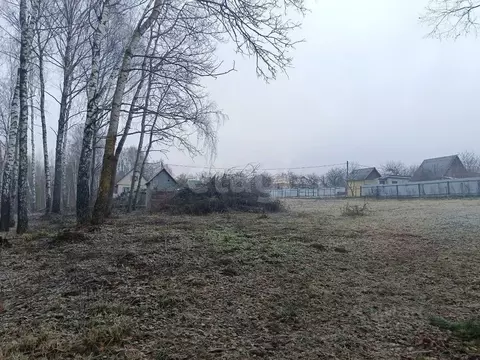 Участок в Брянская область, Брянский район, Снежское с/пос, с. ...