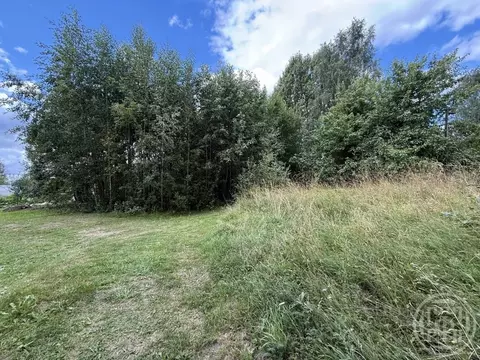 Участок в Ленинградская область, Выборгский район, Рощинское городское ...