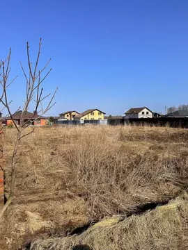 Участок в Ярославская область, Ярославский муниципальный округ, д. Бор ...