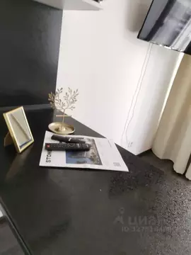 Студия Санкт-Петербург ул. Верхне-Каменская, 9к1 (25.0 м)