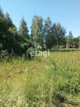 Дом в Ленинградская область, Кингисеппский район, Ивангородское ...