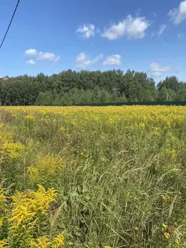 Участок в Московская область, Раменский муниципальный округ, пос. ...