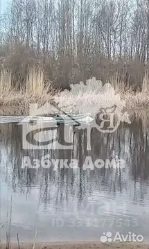 Участок в Ленинградская область, Шлиссельбург Кировский район, ...