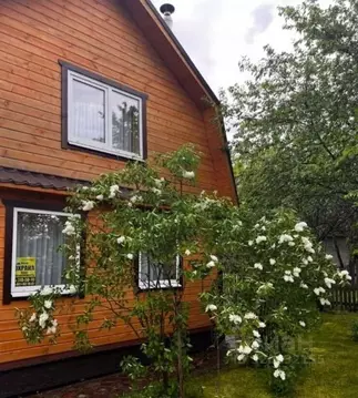 Дом в Ленинградская область, Лужский район, Мшинское с/пос, Мшинская ...