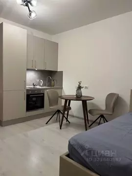 Студия Санкт-Петербург ул. Ивана Куликова, 4к2 (24.0 м)