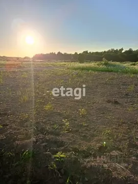 Участок в Ленинградская область, Ломоносовский район, Лопухинское ...