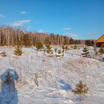 Участок в Красноярский край, Сосновоборский муниципальный округ, д. ...